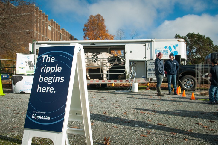 Cows on Campus was a ripple lab that brought awareness to UBC‘s agriculture program in Agassiz. Photo credit: Martin Dee